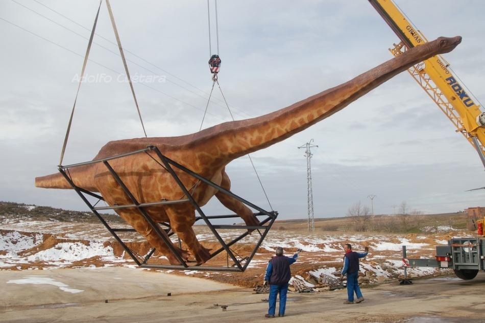 Diplodocus 