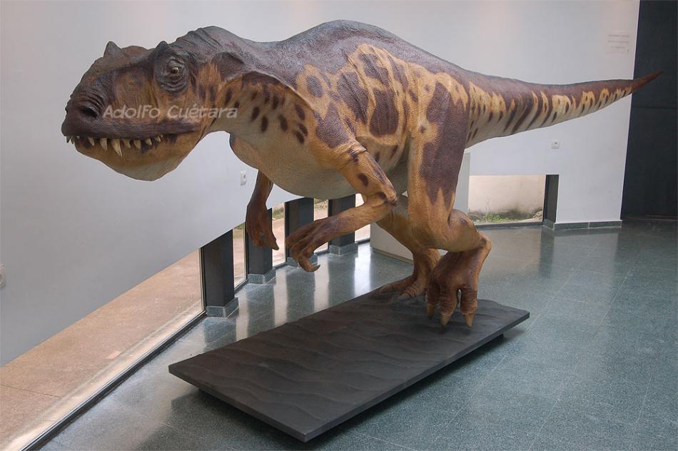 Allosaurus 