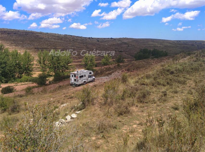 Dinotrack-site 