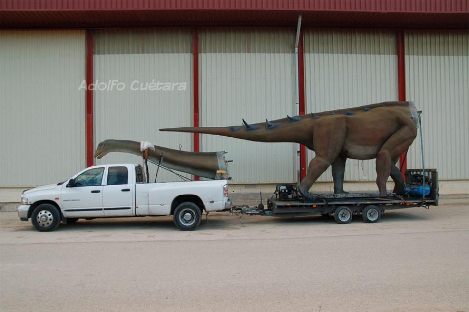 Transport