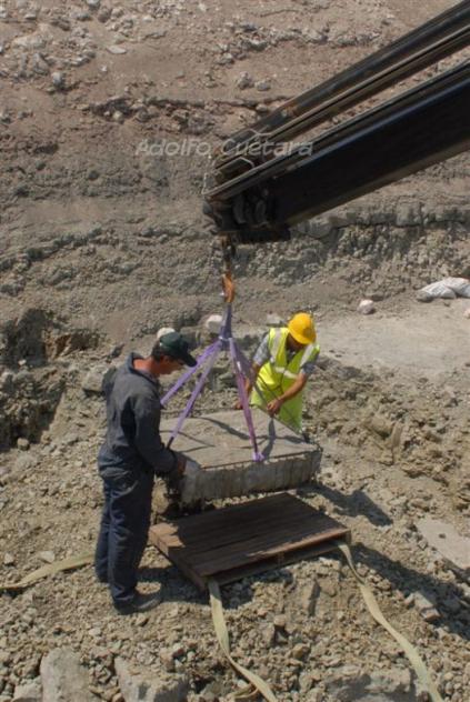 Extracting 1 
