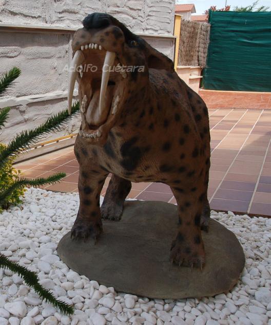 Smilodon1 
