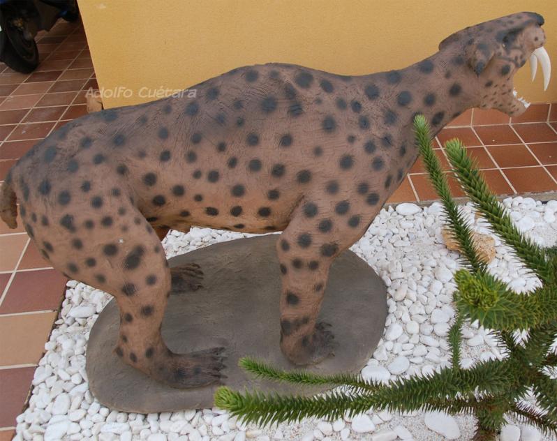 Smilodon2 