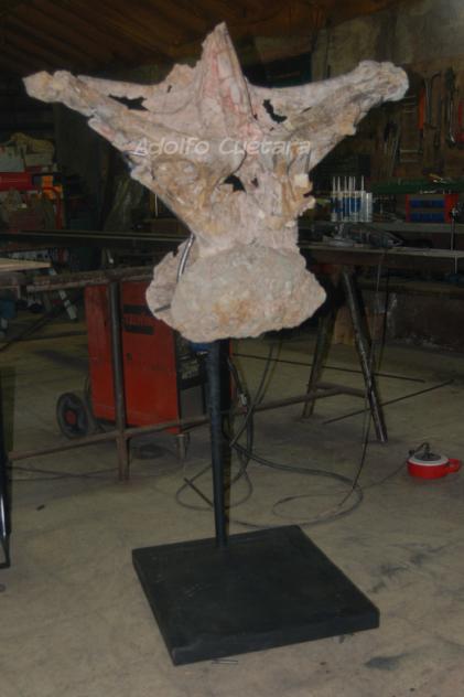 Complex vertebrae